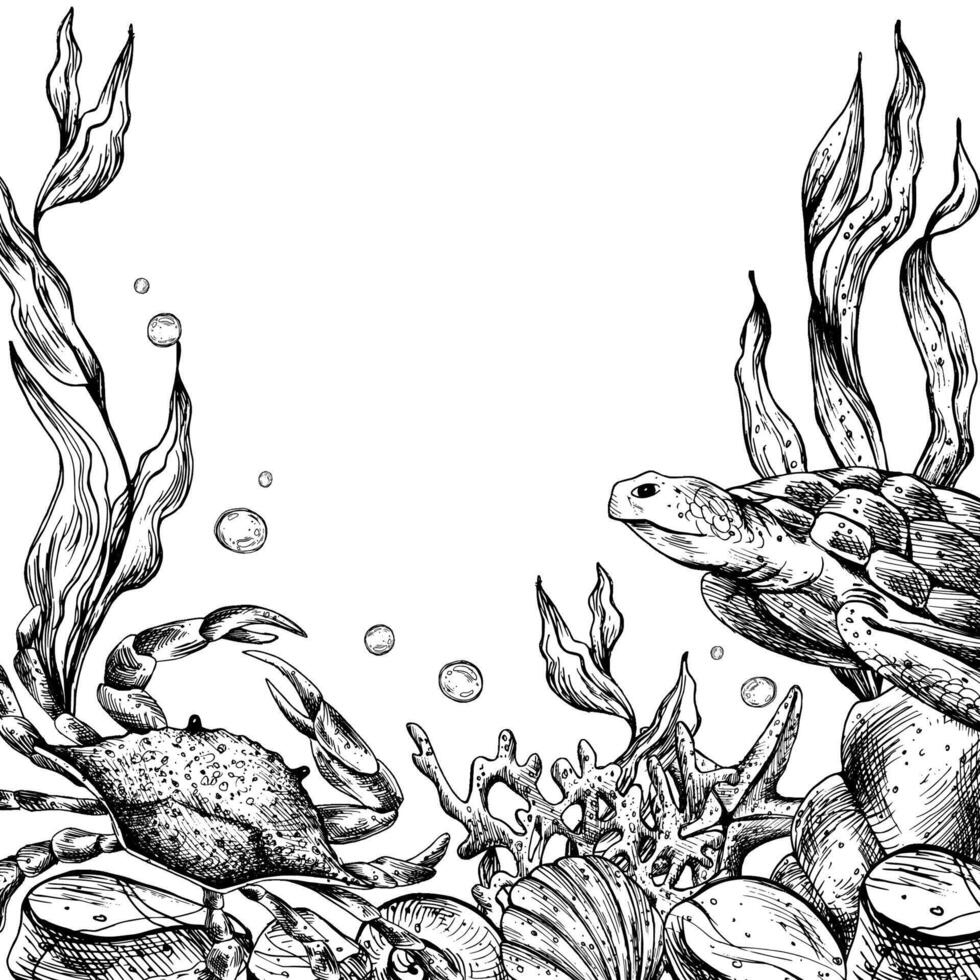 Underwater world clipart with sea animals whale, turtle, octopus, seahorse, starfish, shells, coral and algae. Graphic illustration hand drawn in black ink. Template, frame EPS vector. vector