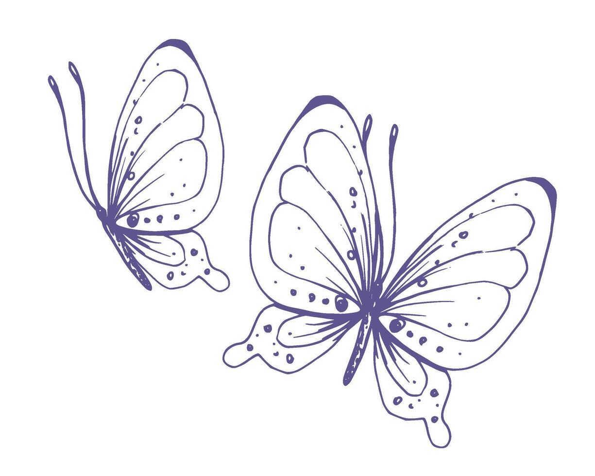 Delicate butterflies with patterns on the wings, simple, sweet, light, romantic. Illustration graphically hand-drawn in lilac ink in line style. Set of isolated EPS vector objects