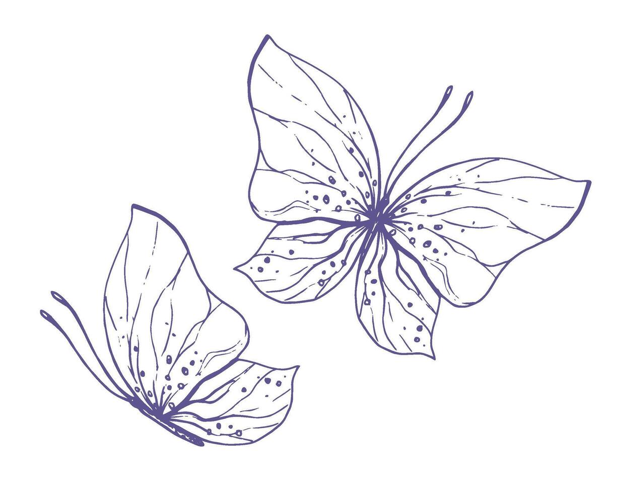 Delicate butterflies with patterns on the wings, simple, sweet, light, romantic. Illustration graphically hand-drawn in lilac ink in line style. Set of isolated EPS vector objects