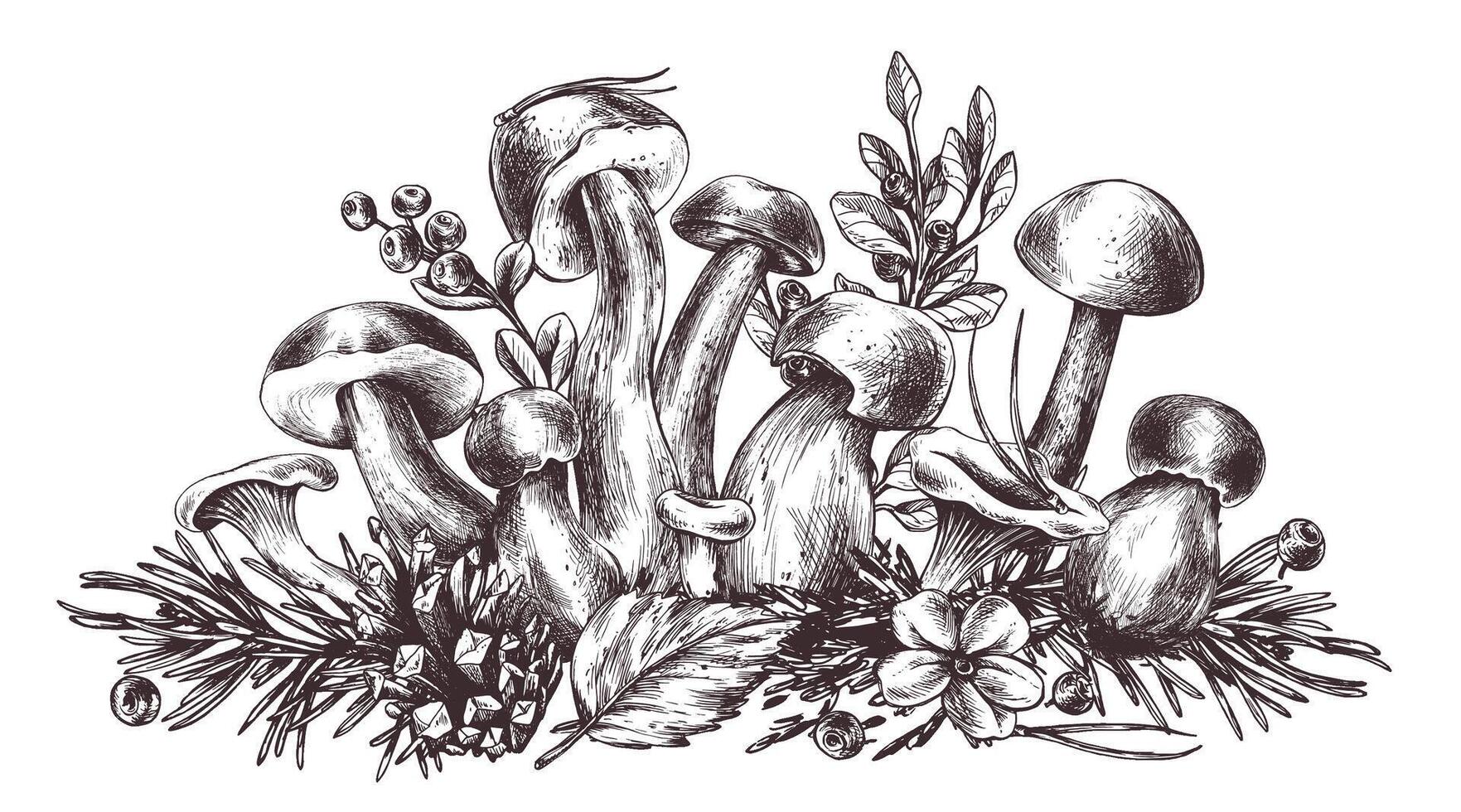 Forest mushrooms, boletus, chanterelles and blueberries, lingonberries, twigs, cones, leaves. Graphic botanical illustration hand drawn in brown ink. Isolated composition vector