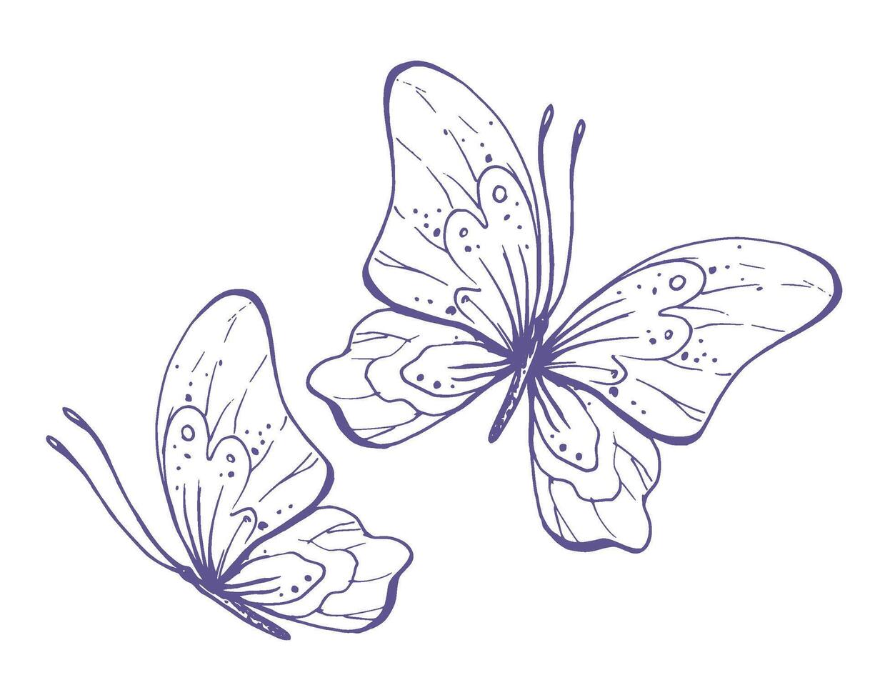 Delicate butterflies with patterns on the wings, simple, sweet, light, romantic. Illustration graphically hand-drawn in lilac ink in line style. Set of isolated EPS vector objects