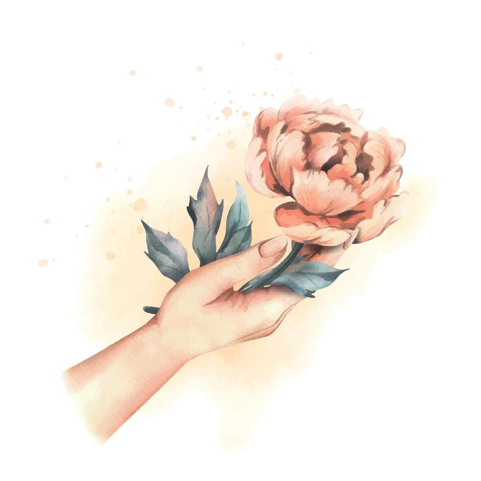 Beautiful peonies in peach fuzz color with leaves in female hands. Hand drawn watercolor illustration. Composition isolated from the background. vector