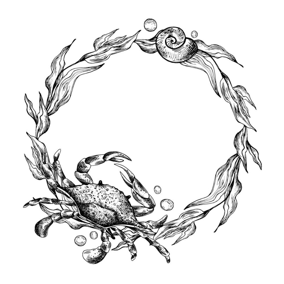 Underwater world clipart with sea animals crab, starfish and algae. Graphic illustration hand drawn in black ink. Circle wreath, frame EPS vector. vector