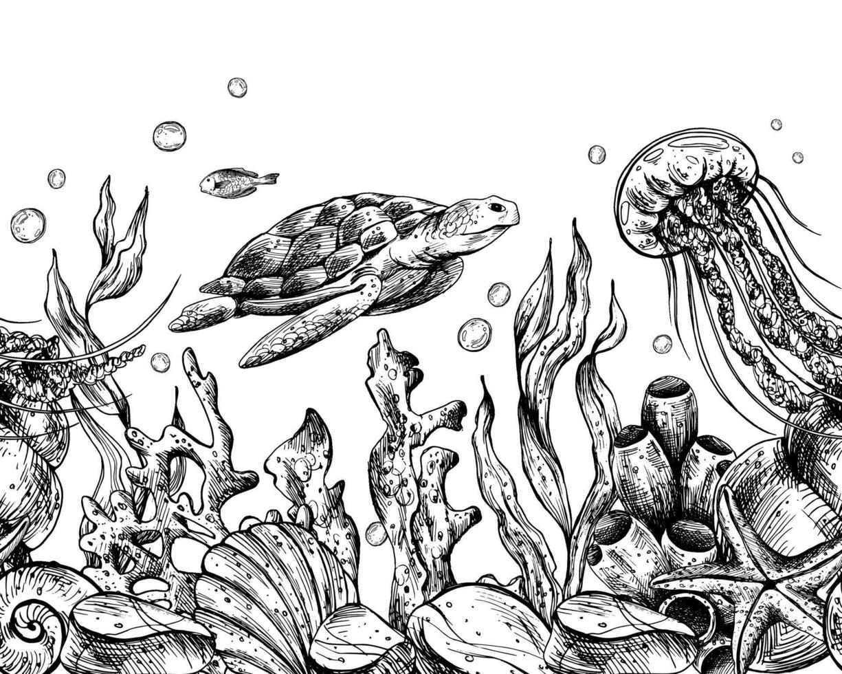 submarino mundo clipart con mar animales ballena, tortuga, pulpo, caballo de mar, estrella de mar, conchas, coral y algas. gráfico ilustración mano dibujado en negro tinta. sin costura frontera eps vector. vector