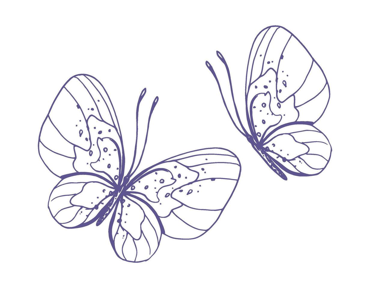 delicado mariposas con patrones en el alas, simple, dulce, luz, romántico. ilustración gráficamente dibujado a mano en lila tinta en línea estilo. conjunto de aislado eps vector objetos