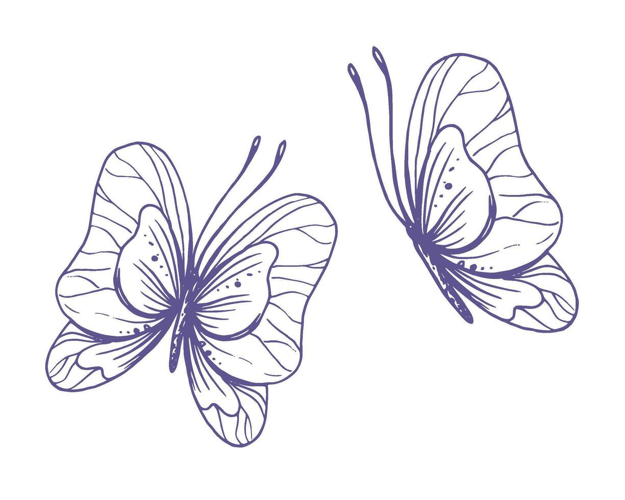 delicado mariposas con patrones en el alas, simple, dulce, luz, romántico. ilustración gráficamente dibujado a mano en lila tinta en línea estilo. conjunto de aislado eps vector objetos