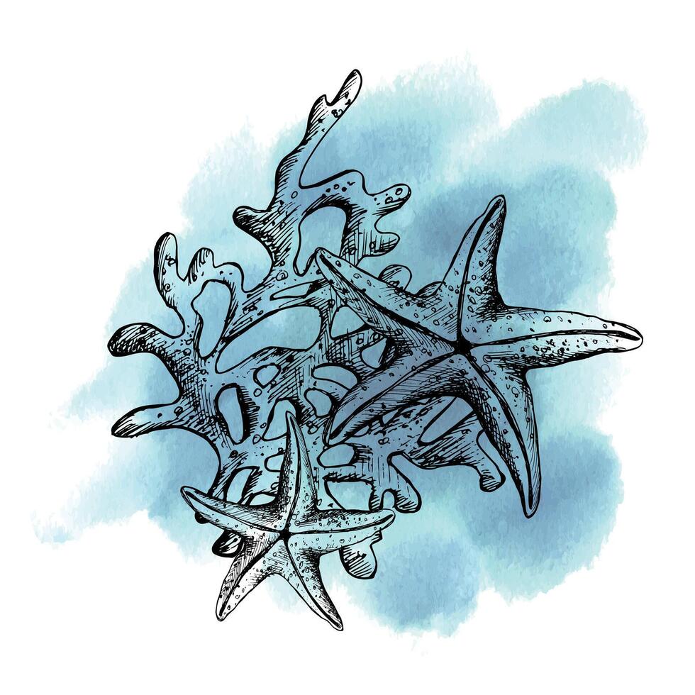 Underwater world clipart with sea animals starfish, shells, coral and algae. Graphic illustration hand drawn in black ink. Composition EPS vector. vector