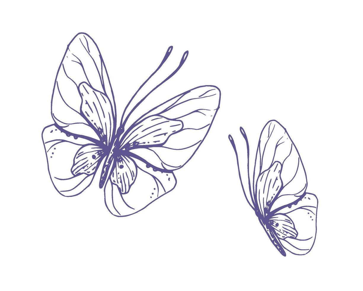 delicado mariposas con patrones en el alas, simple, dulce, luz, romántico. ilustración gráficamente dibujado a mano en lila tinta en línea estilo. conjunto de aislado eps vector objetos