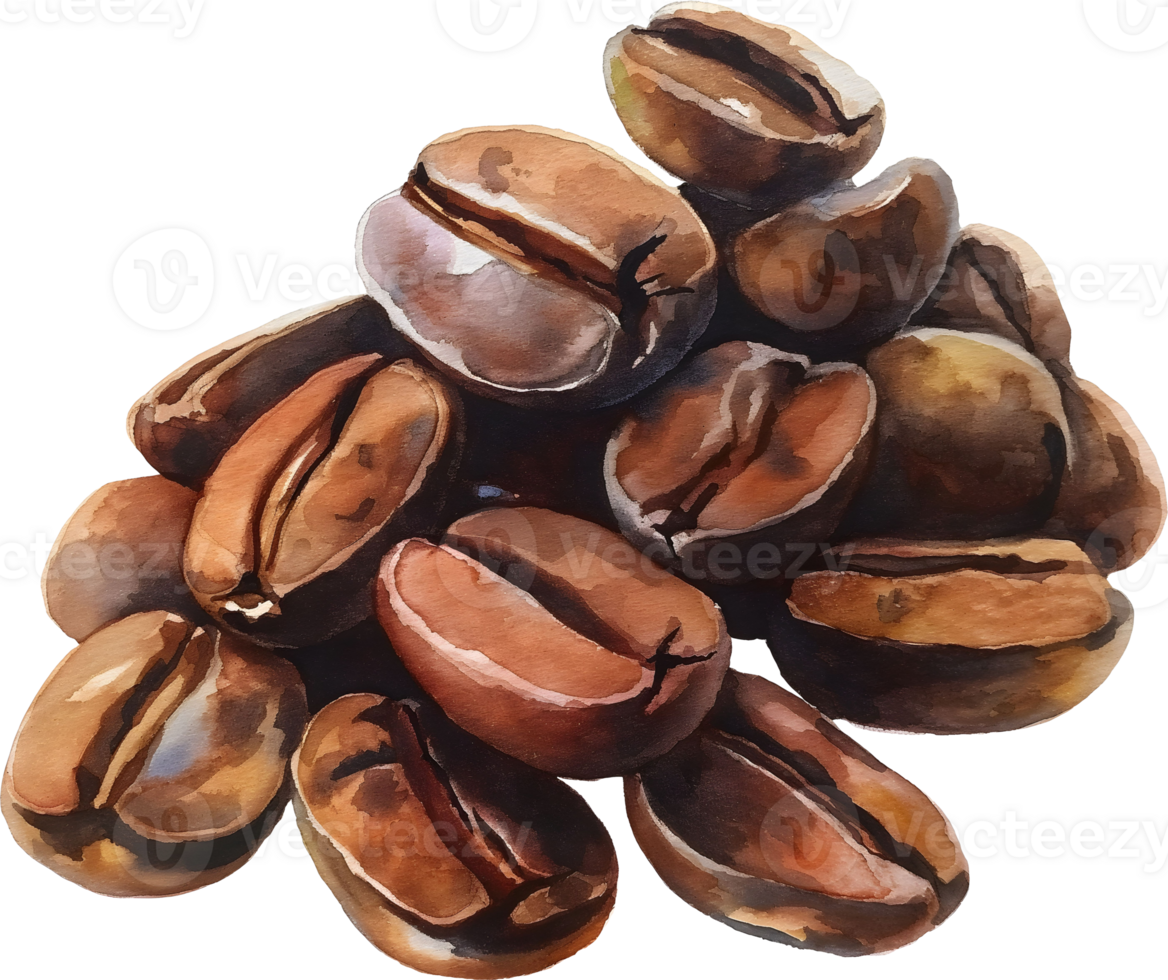 AI generated coffee beans watercolor png