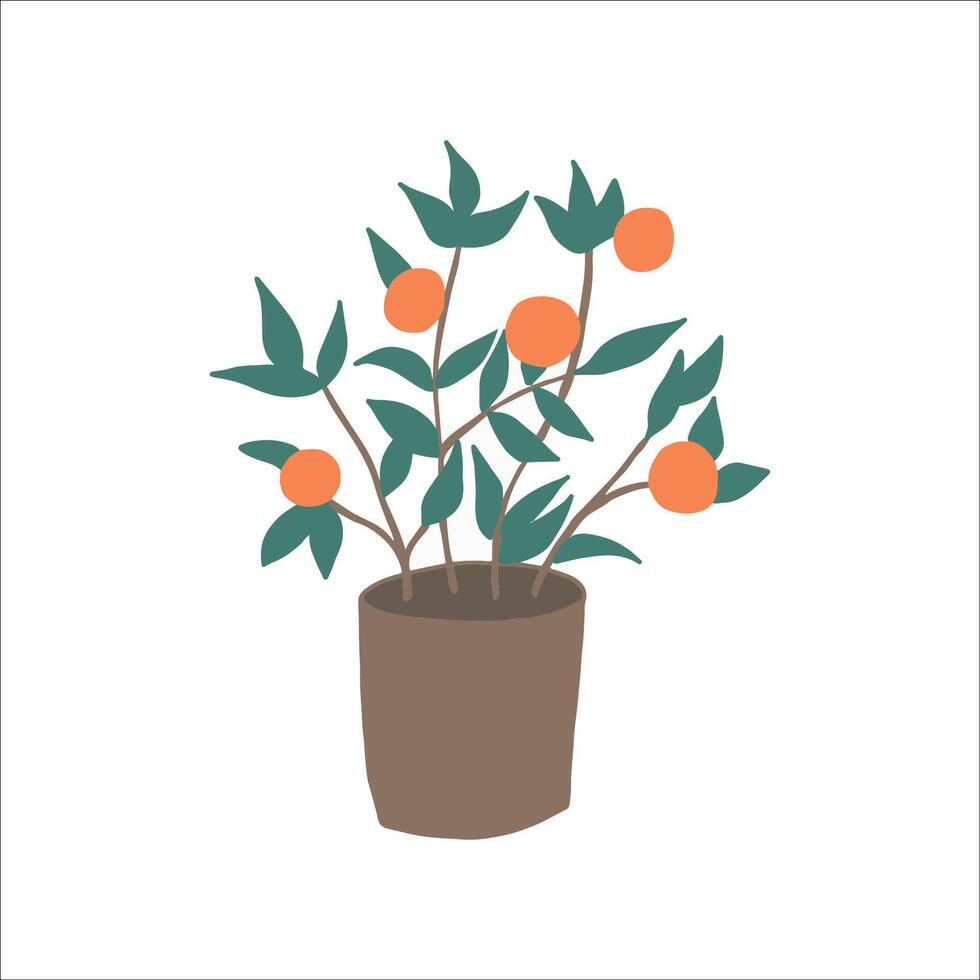 Vibrant Potted Plant With Ripe Oranges Welcoming the Spring Season vector