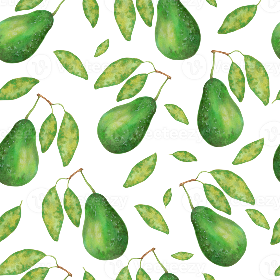 Fruit seamless pattern of avocado with leaves. Botanical texture for eco and healthy food for printing on fabric, paper. Watercolor and marker illustration.Hand drawn art. png