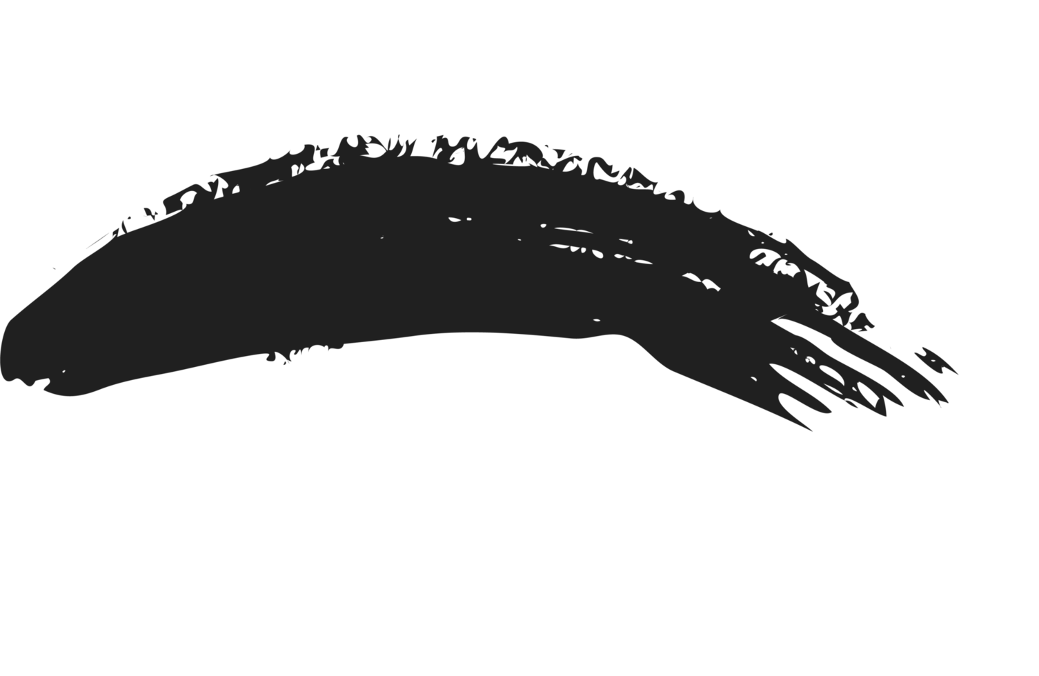 black staine brush, grunge banner, hand drawn splash. Grunge badge brush, hand drawn black png