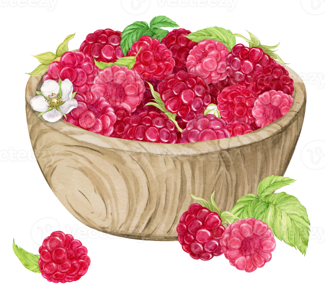 Ripe strawberries in a bowl. Watercolor illustration. Healthy food concept. Composition of spring berries. Ingredient for various dishes. png