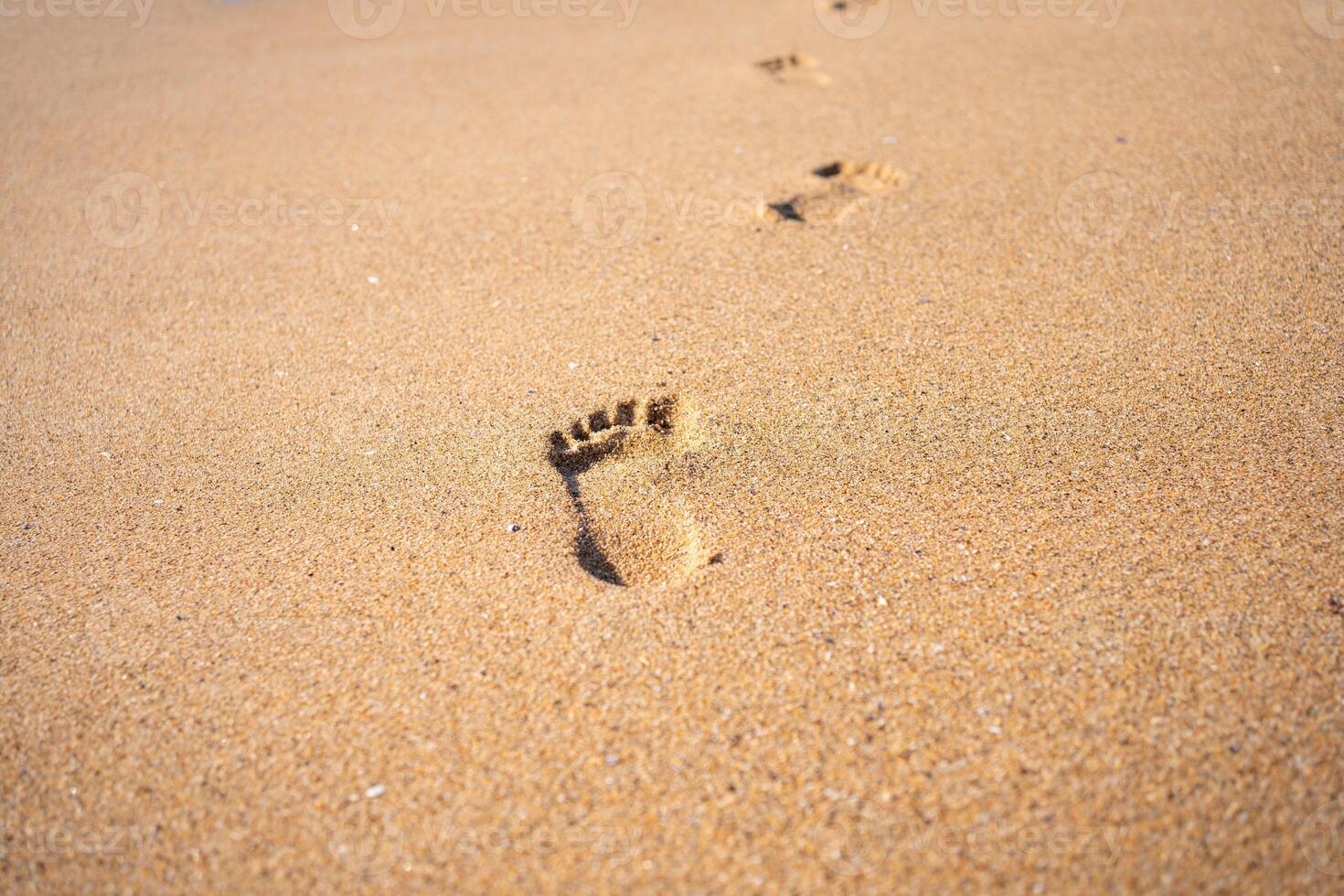 Footprints On Ocean Sandy Beach photo