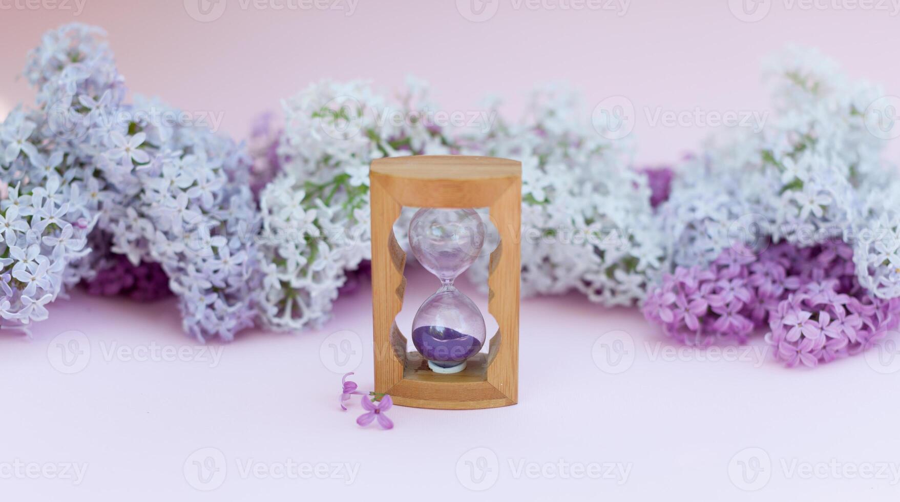 Sand running through the bulbs of an hourglass measuring the passing time in a countdown to a deadline, on a flower lilac spring background with copy space. photo