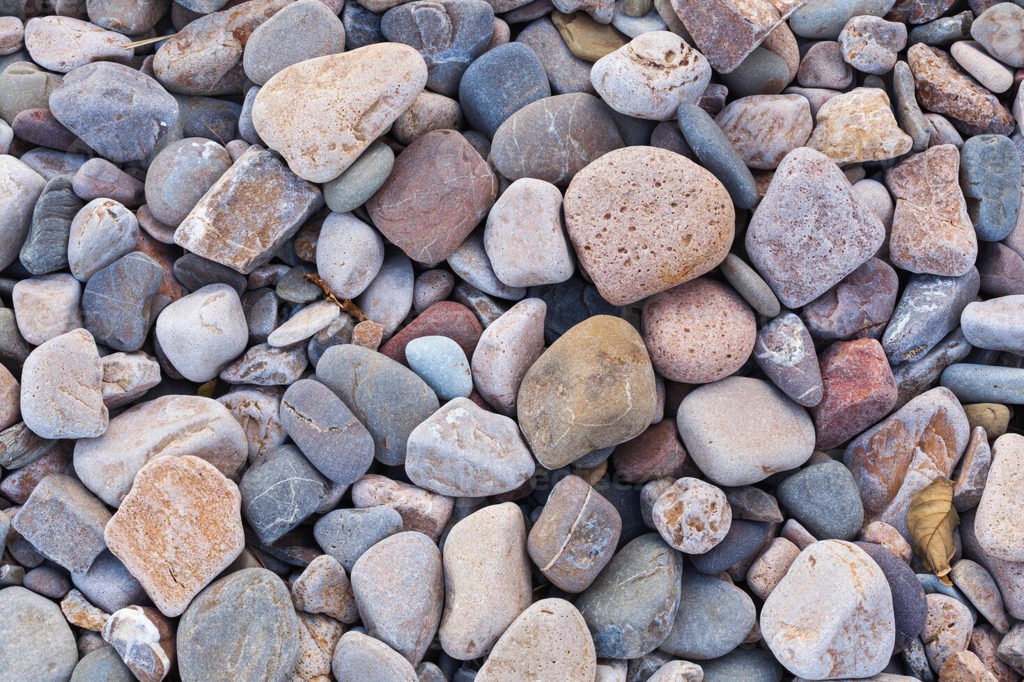 texture of  small sea stones photo