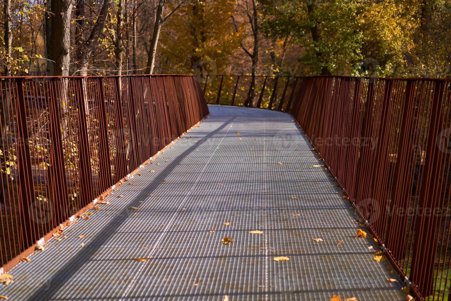 Old rusty metal road for pedestrians and cyclists in the autumn park. photo