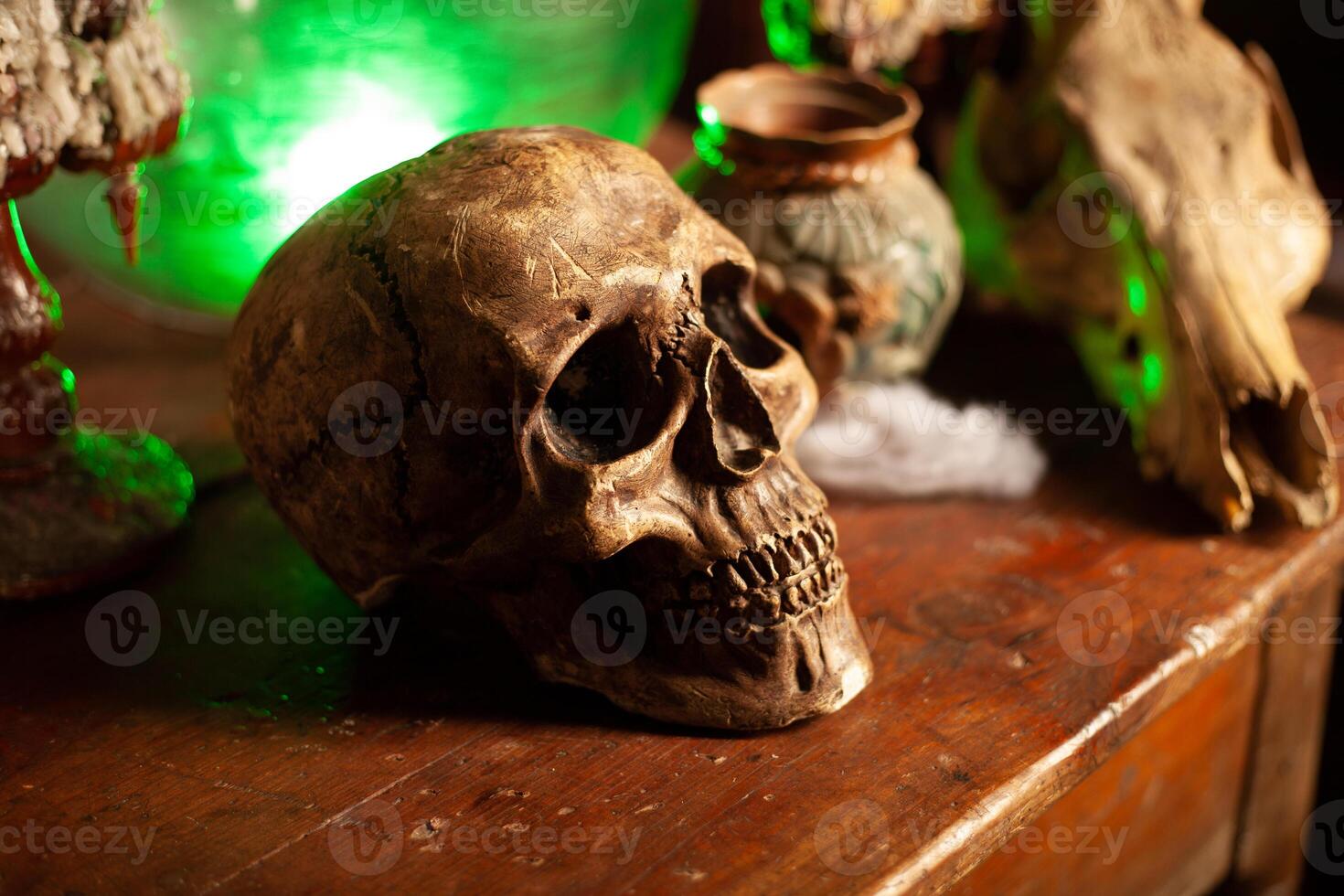 Halloween background Shelves with alchemy tools Skull spiderweb bottle with poison candles photo