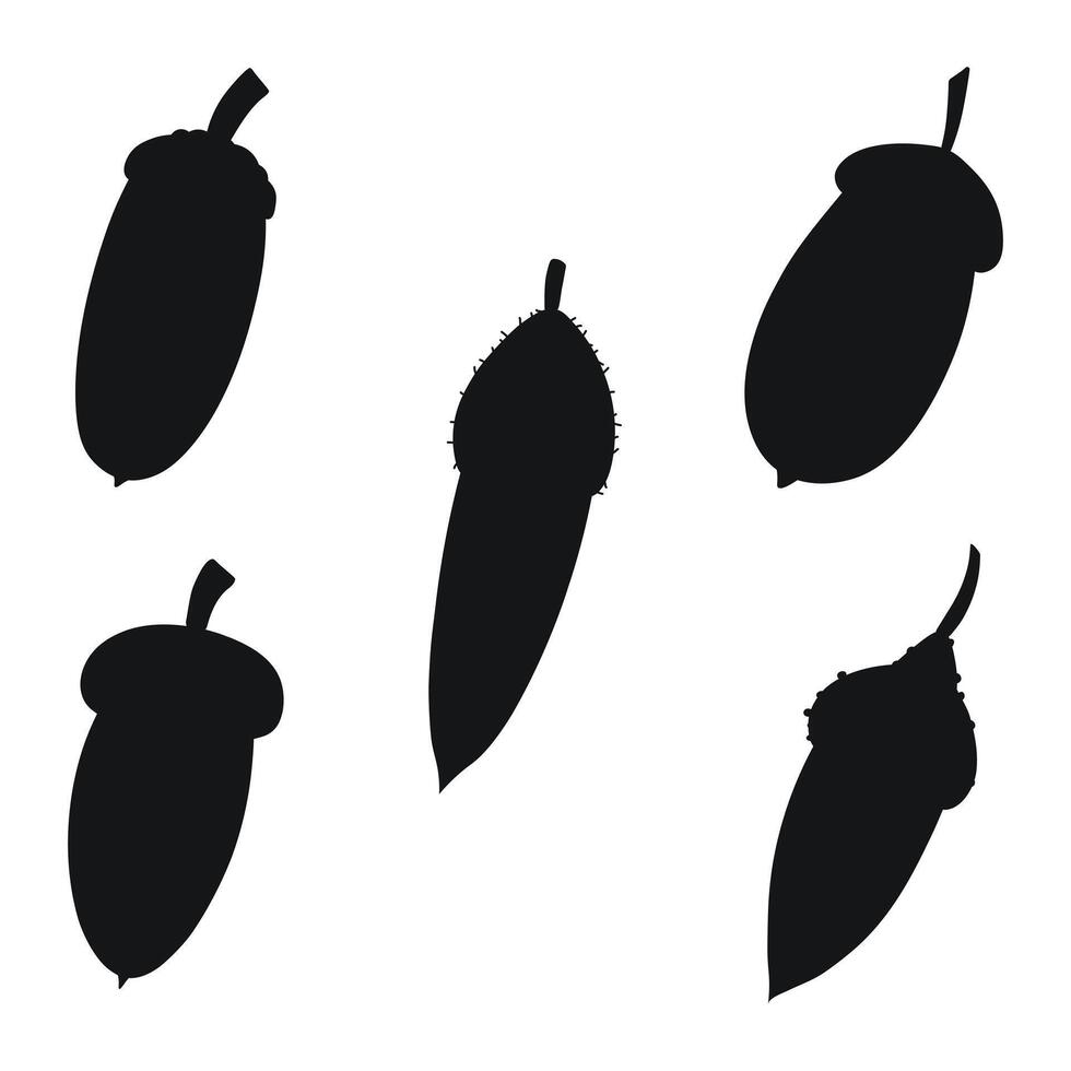 Black silhouette of oak acorn, isolated vector