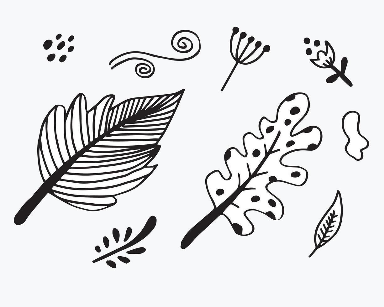 Hand drawn black floral elements.flower and branches doodle. vector