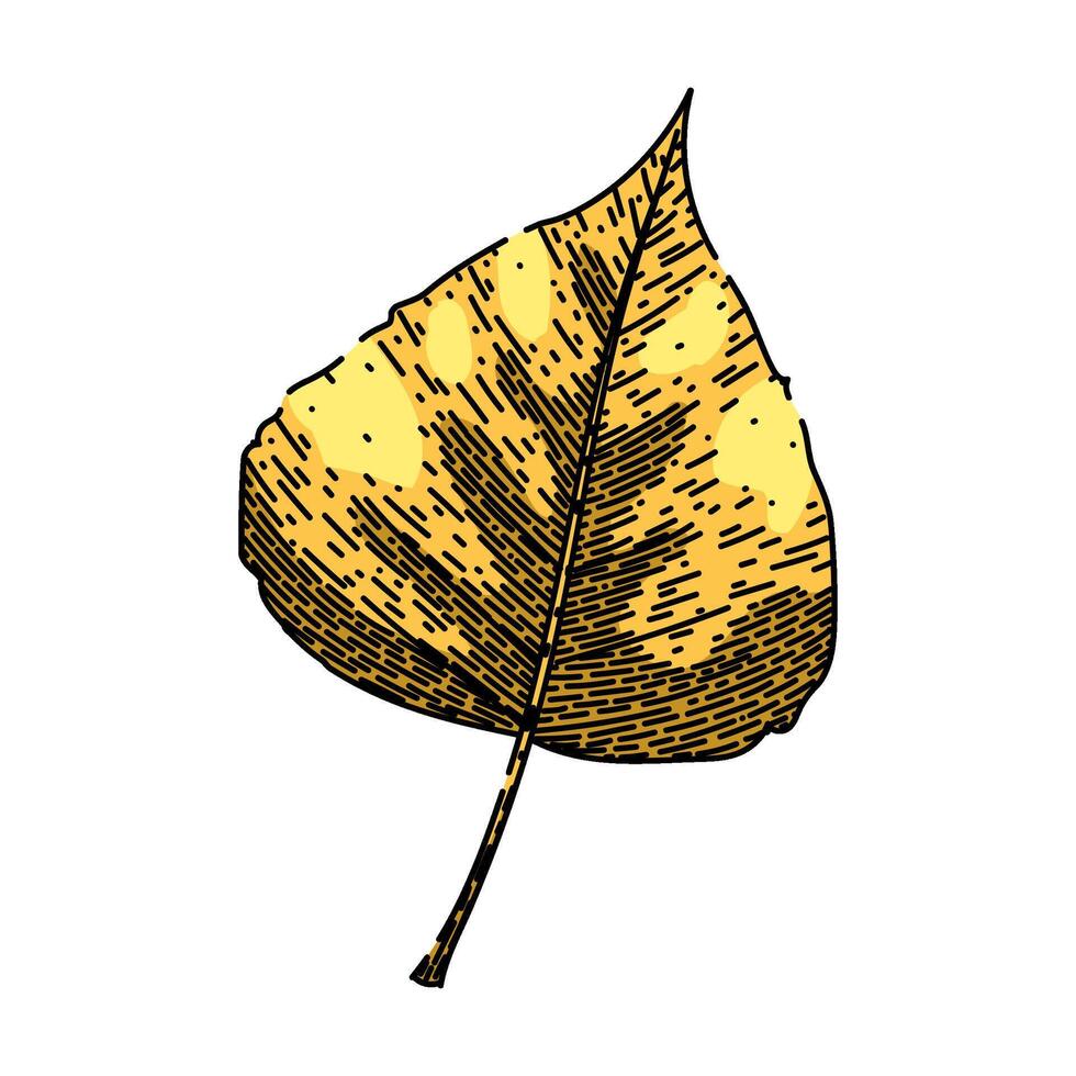 birch fall autumn leaf sketch hand drawn vector