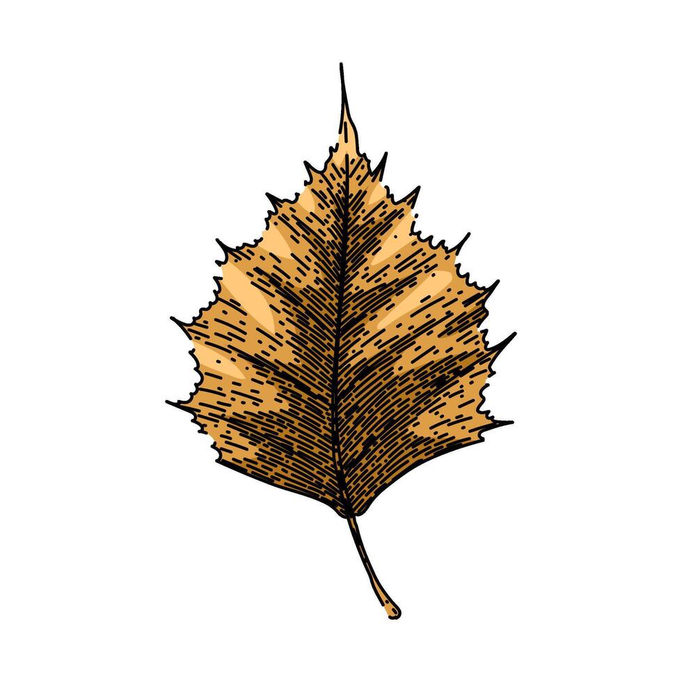 ground autumn leaf sketch hand drawn vector