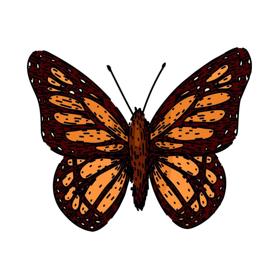 butterfly sketch hand drawn vector