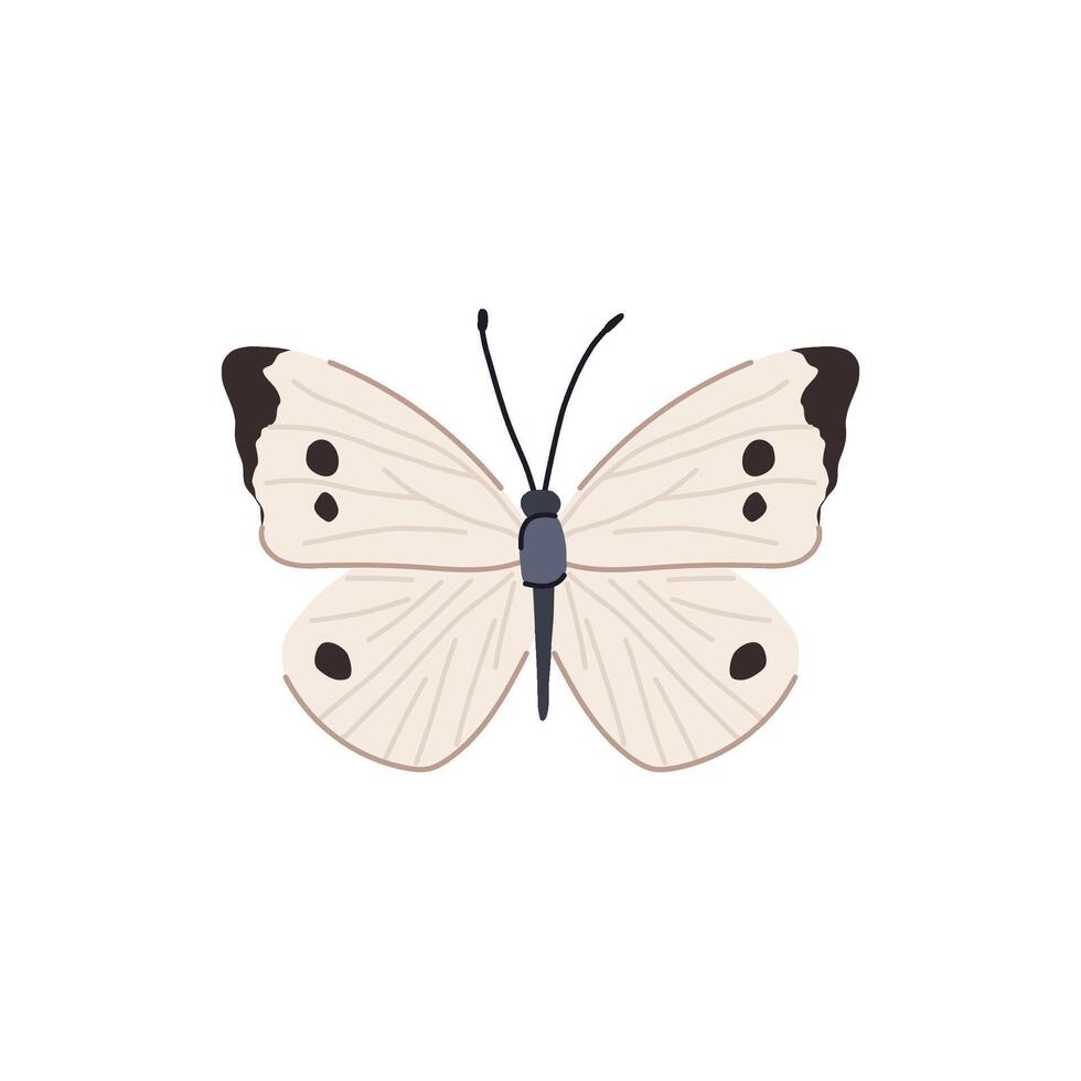 animal butterfly cartoon vector illustration