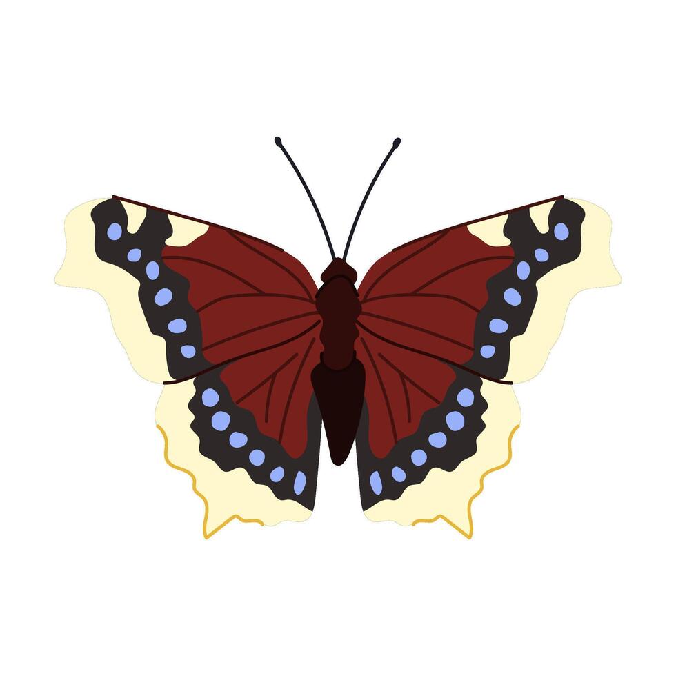 flower butterfly cartoon vector illustration