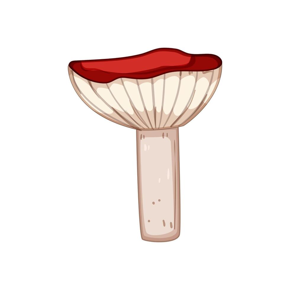simple fly agaric cartoon vector illustration