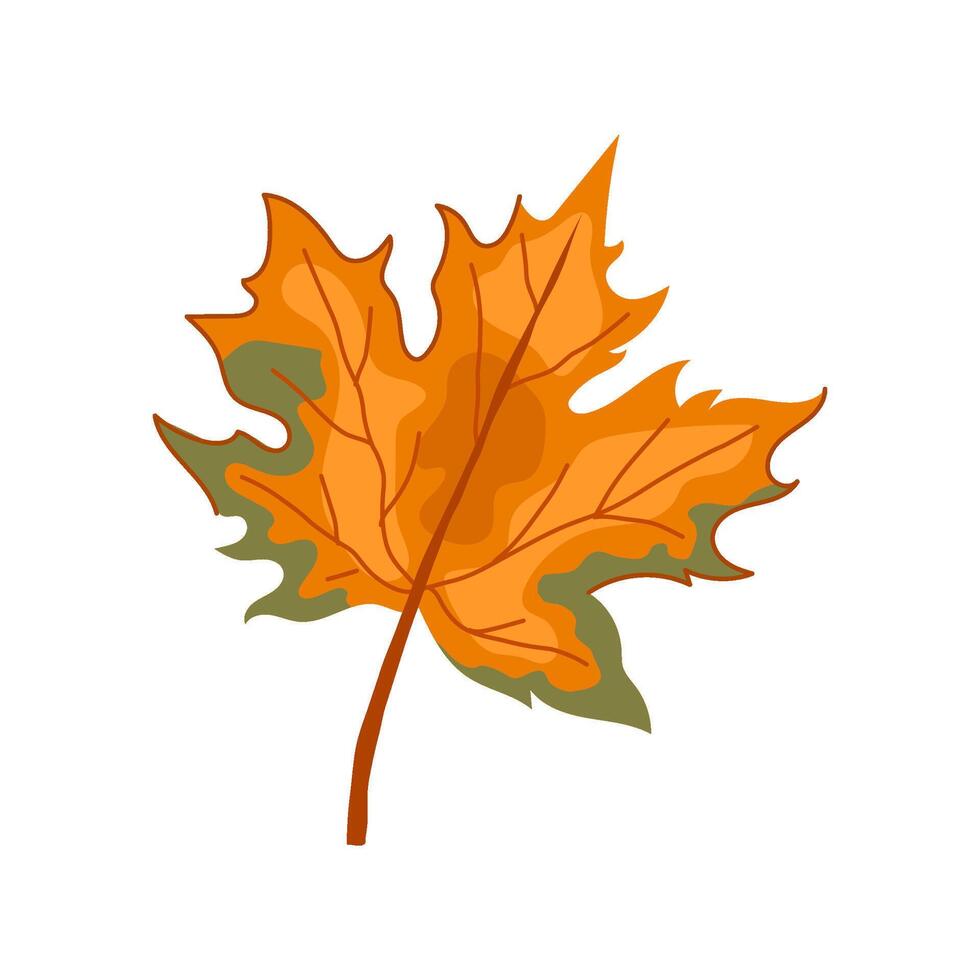 red maple leaf cartoon vector illustration