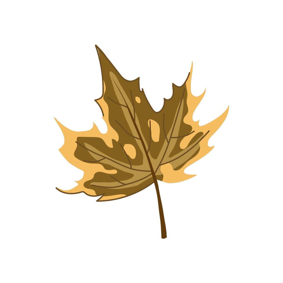 canadian maple leaf cartoon vector illustration