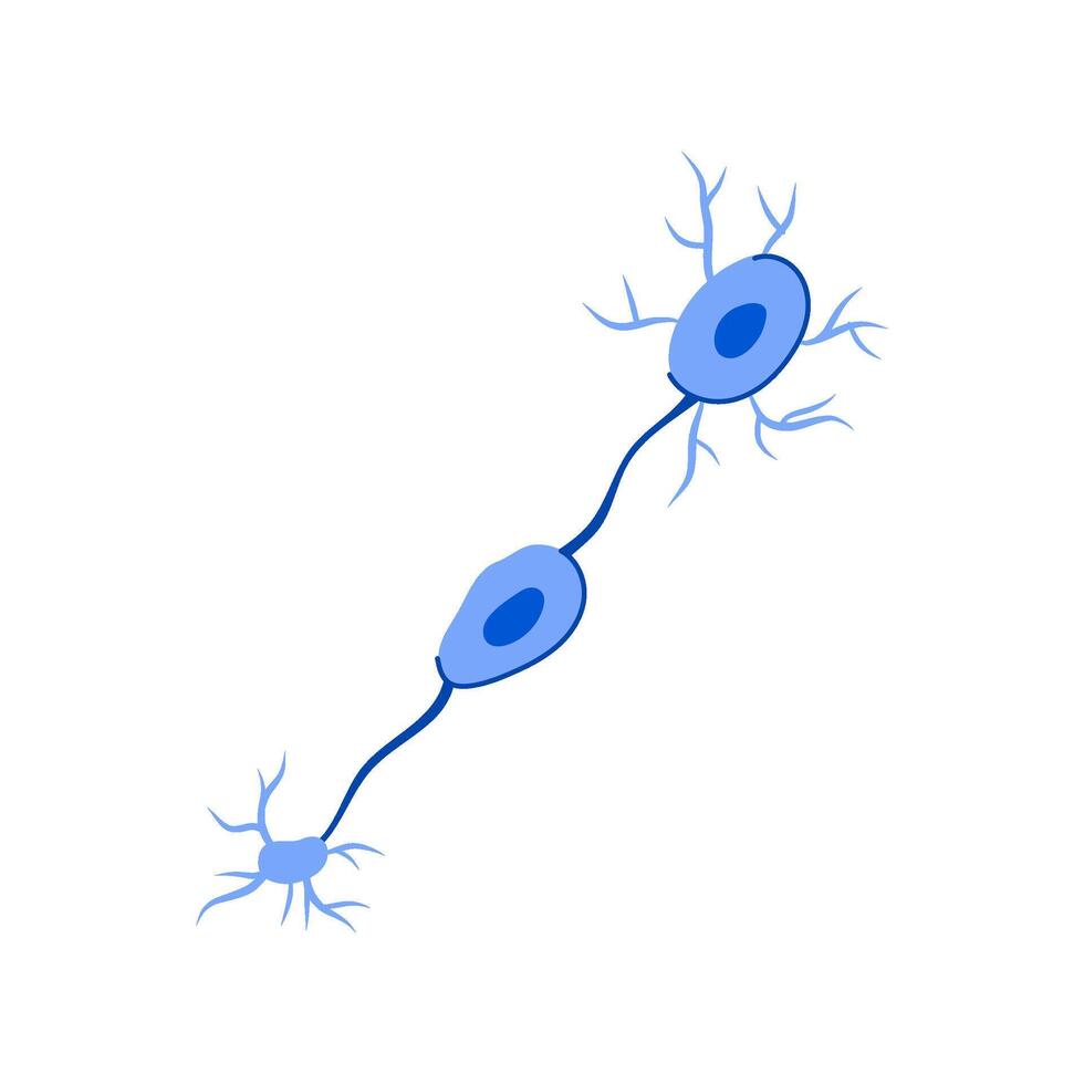 neural neurons cartoon vector illustration