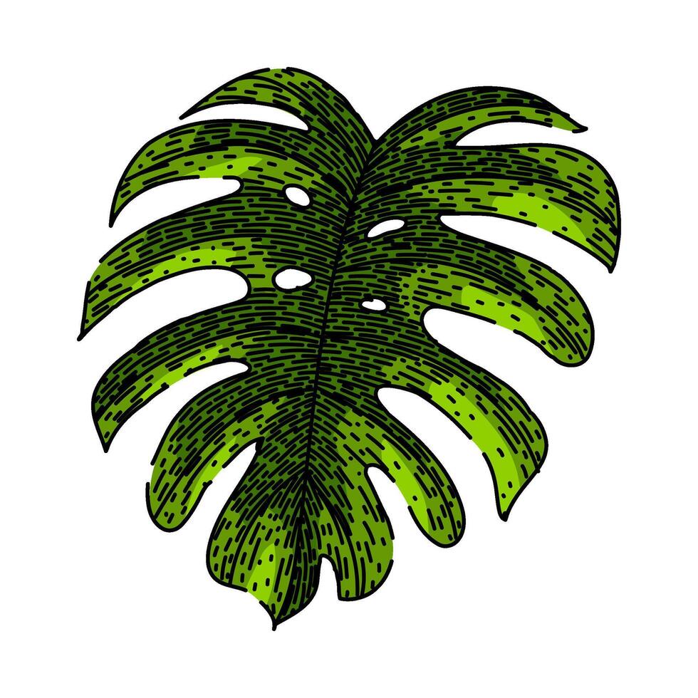 silhouette monstera leaf sketch hand drawn vector