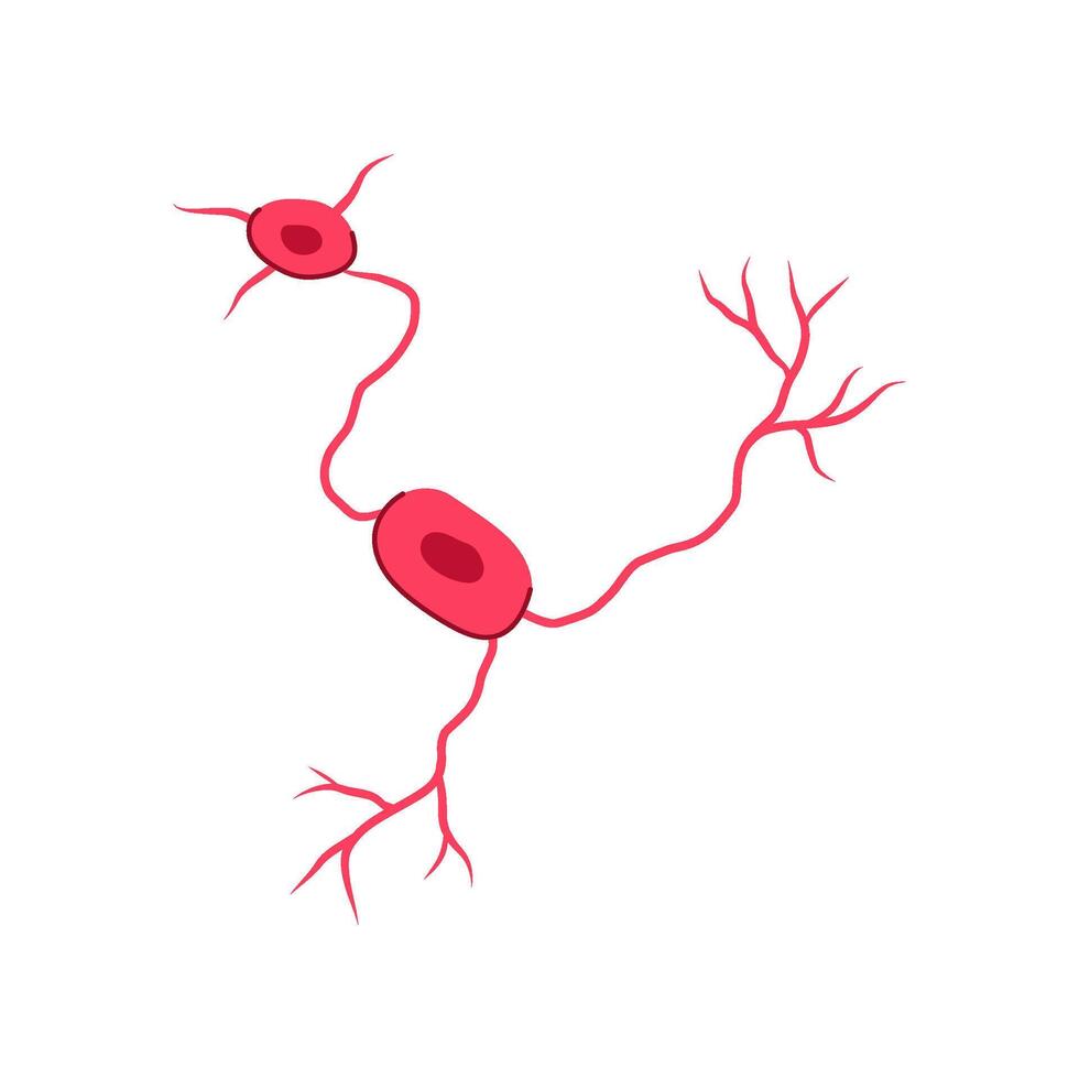 estructura neuronas dibujos animados vector ilustración