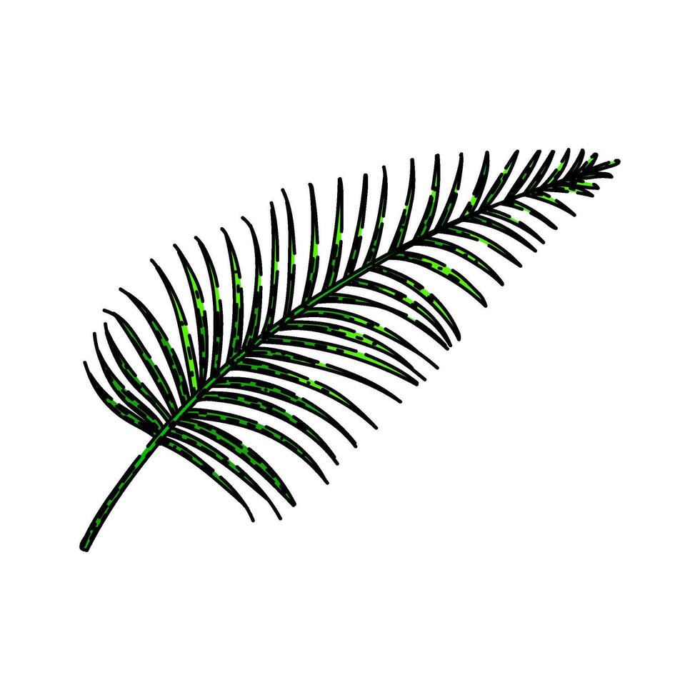 areca palm tropical leaf sketch hand drawn vector