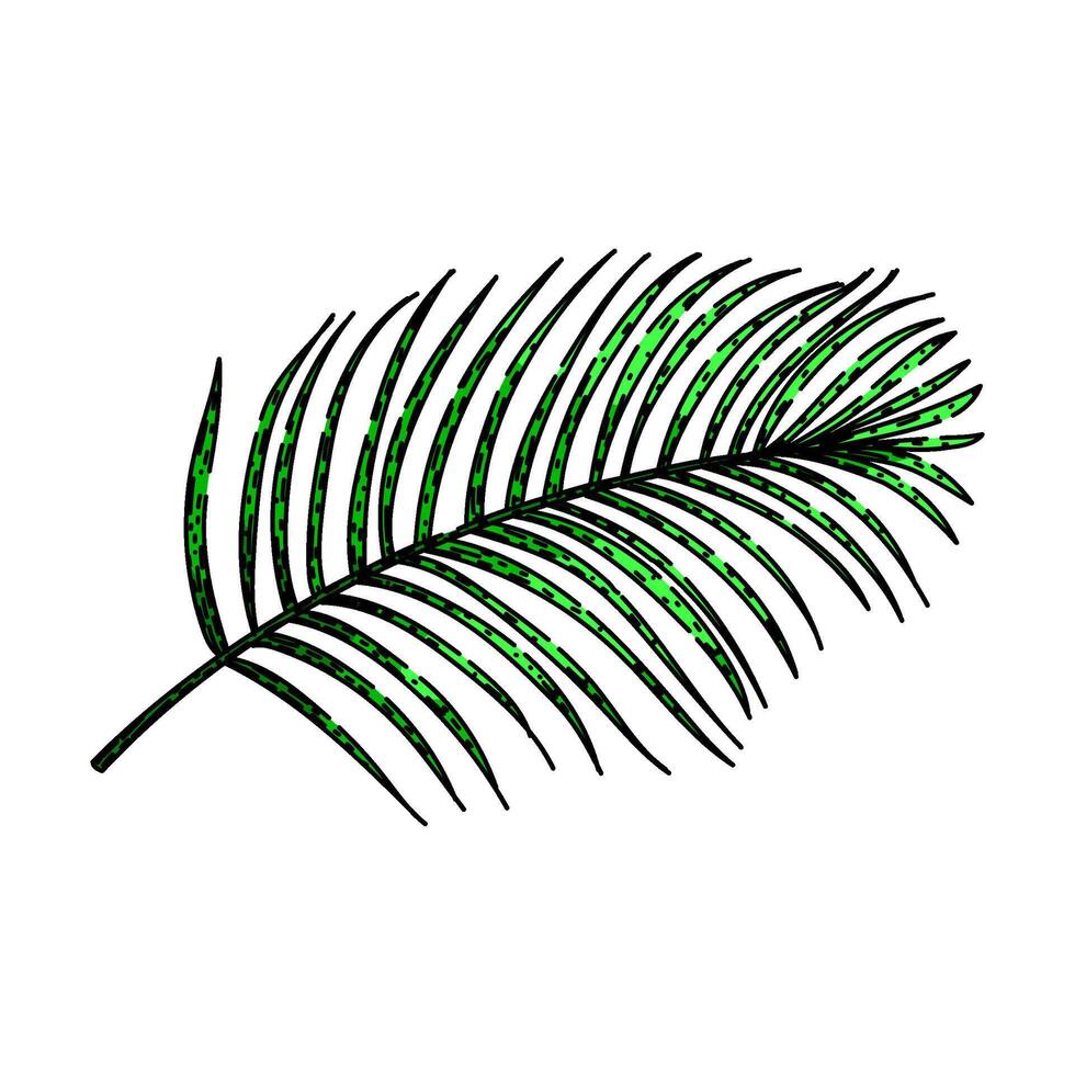 coconut tropical leaf sketch hand drawn vector