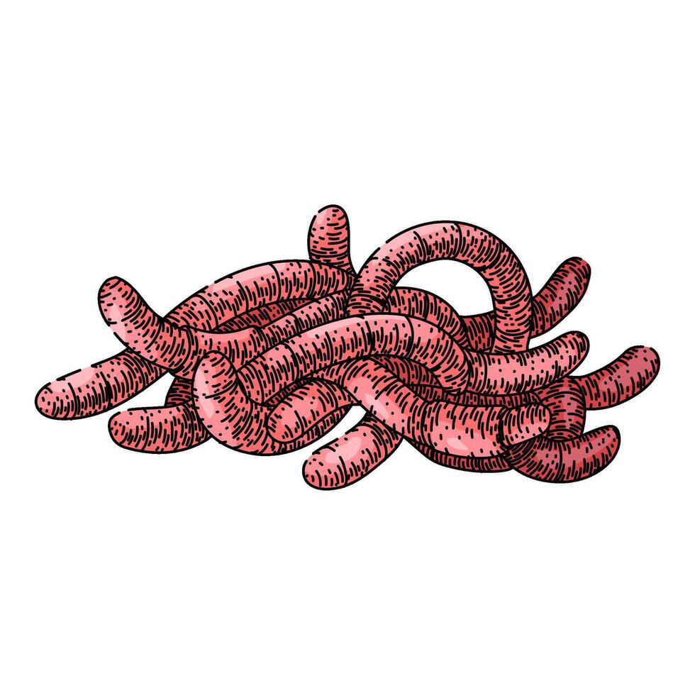 soil worm sketch hand drawn vector