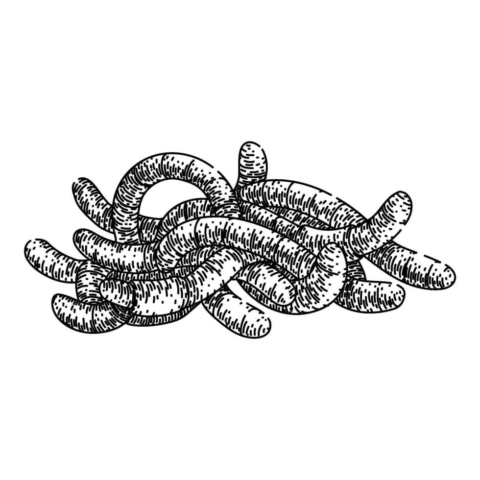 soil worm sketch hand drawn vector