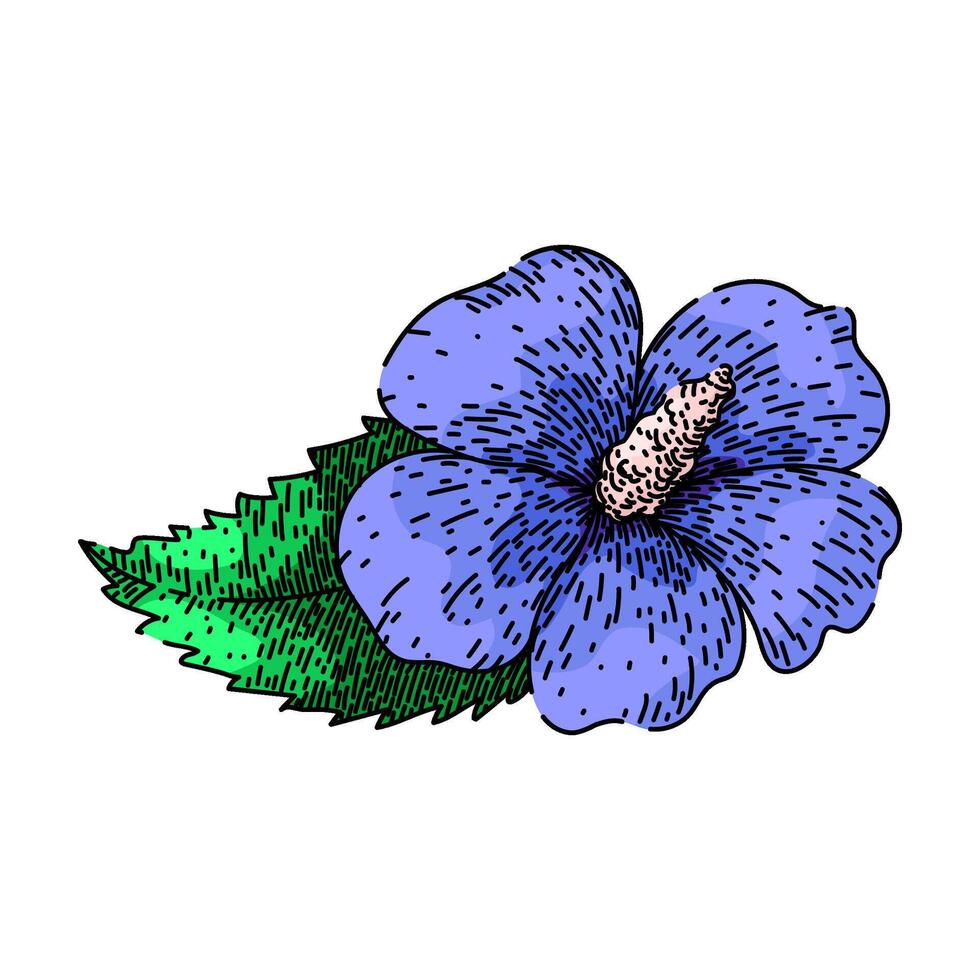 hawaiian hibiscus sketch hand drawn vector