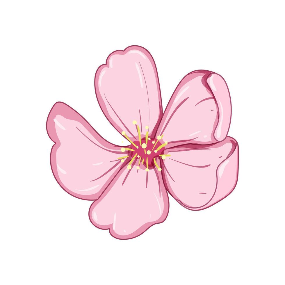 naturaleza sakura Cereza florecer dibujos animados vector ilustración