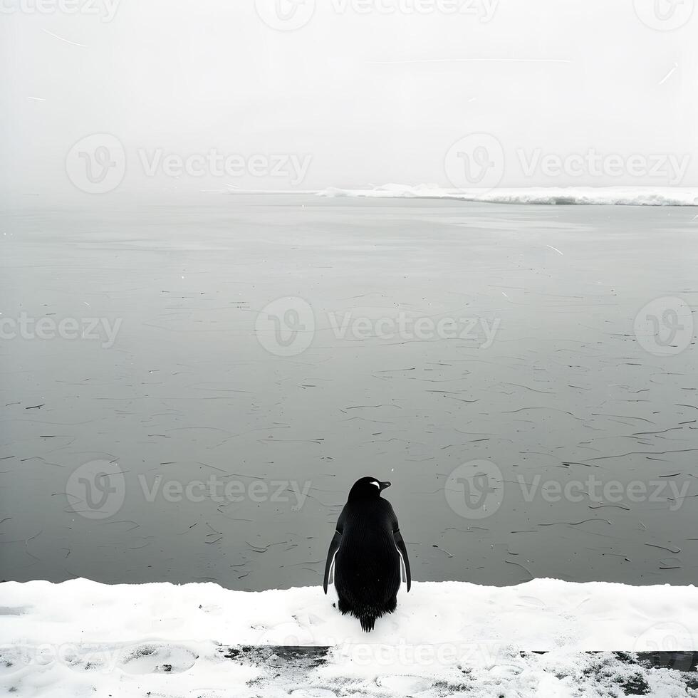 ai generado reflexionando pingüino, adecuado para el frío, solitario contemplación foto