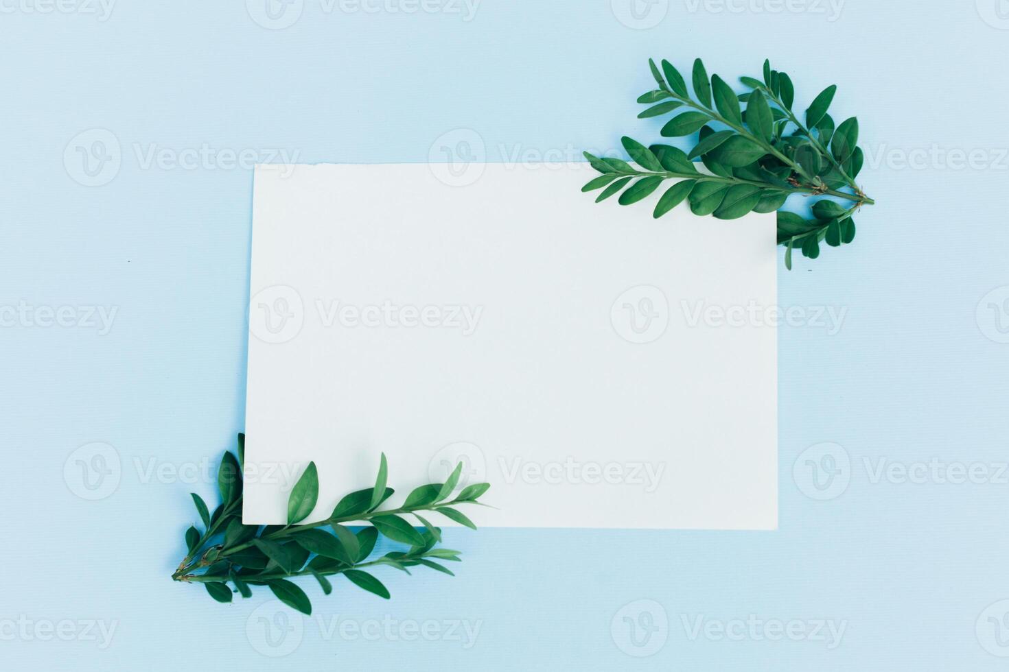 Desktop mock-up with blank paper card, branch on white shabby table background. Empty space. Styled stock photo, web banner. Flat lay photo