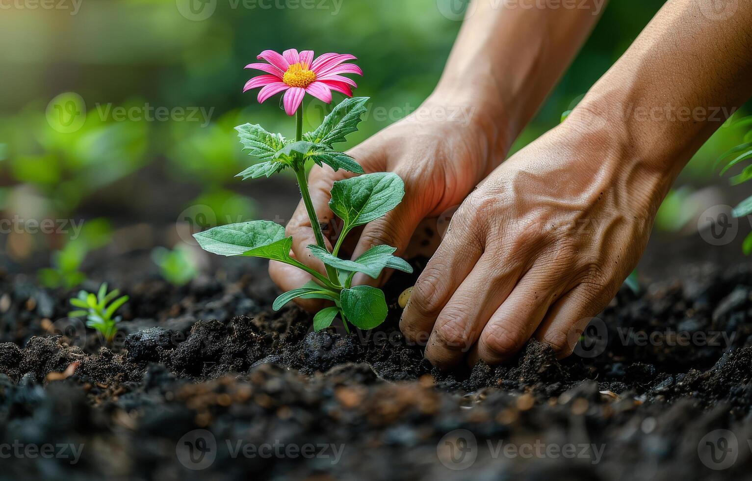 AI generated Gardener planting pink flower in the garden photo