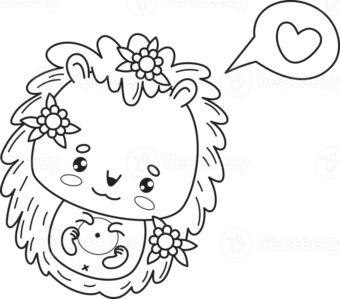 Cute outline hedgehog png