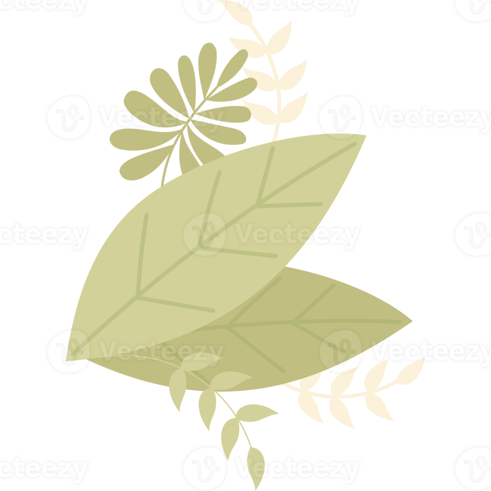 Leaves branch decor png