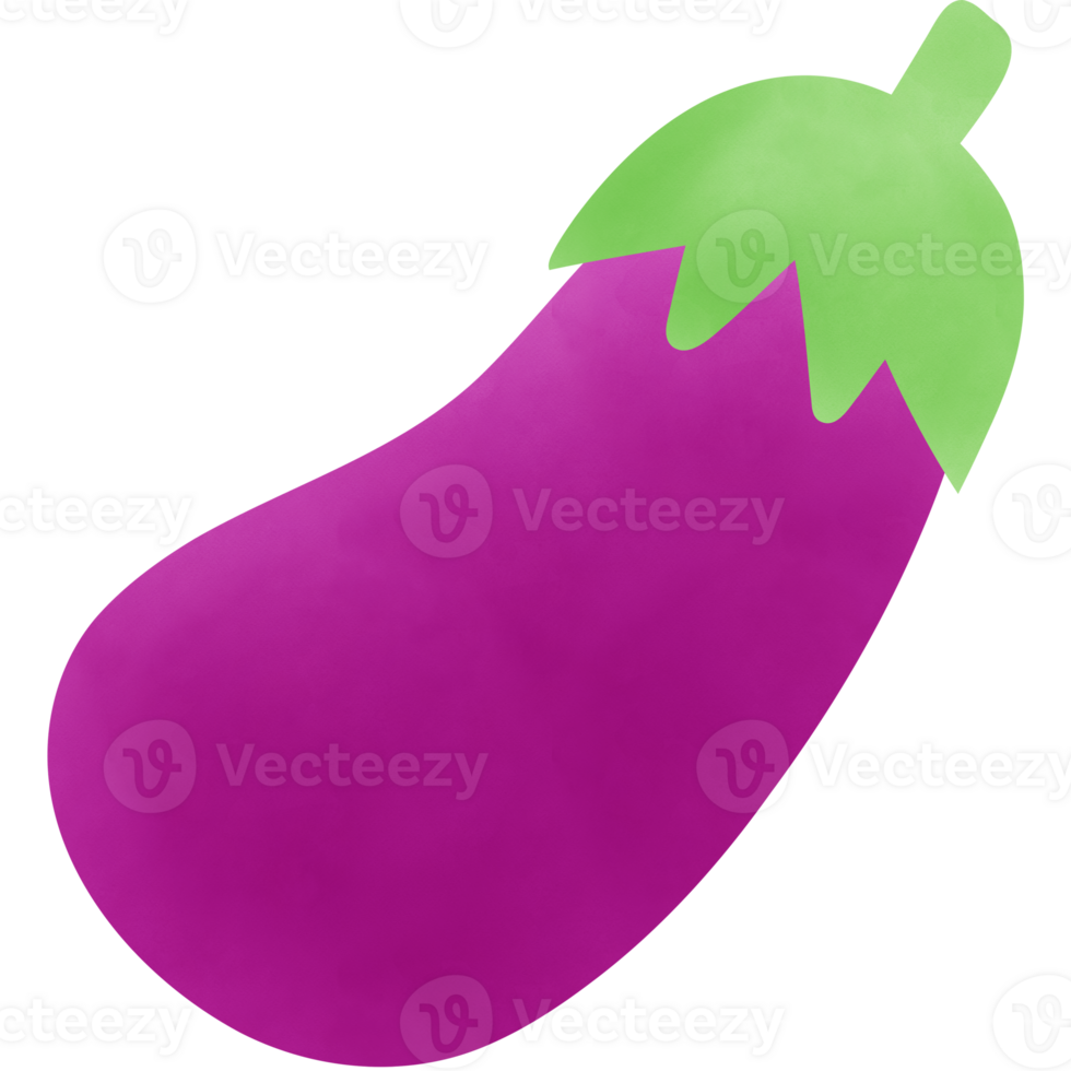 Illustration of a watercolor eggplant isolated on png or transparent background