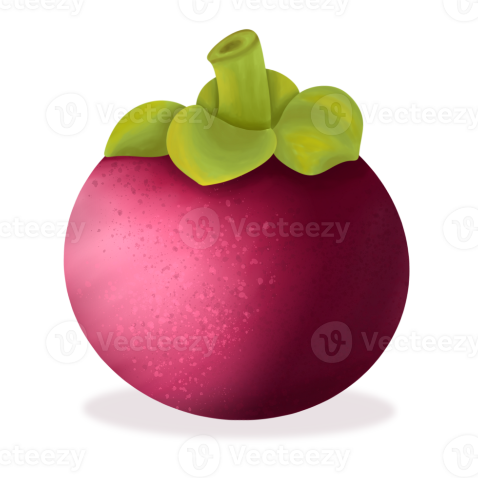 Mangosteen, Indonesian fruits. png