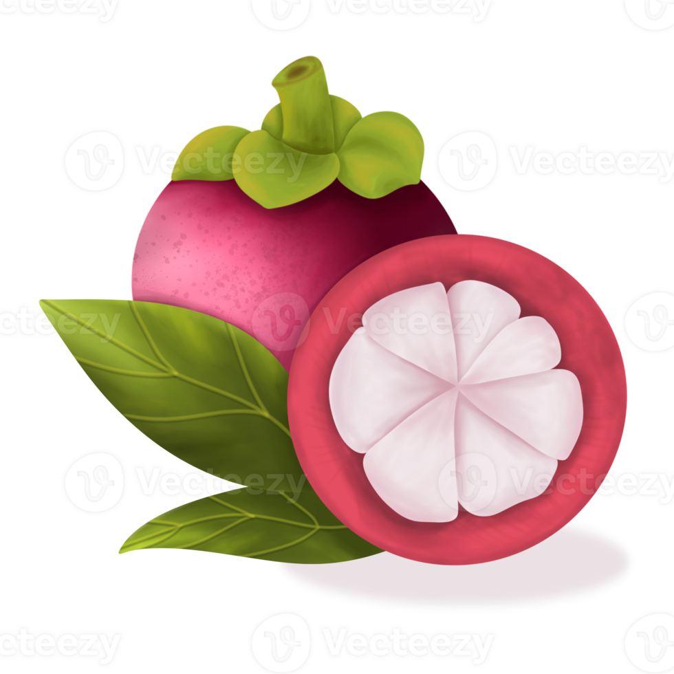 Mangosteen with green leaves , Indonesian fruits. png