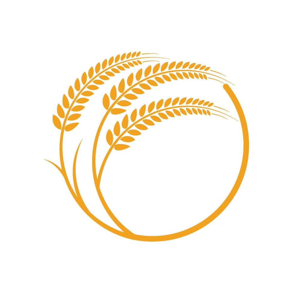 logo de trigo de agricultura vector